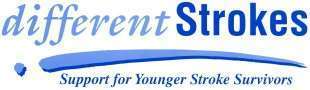 DSLogoSmall1