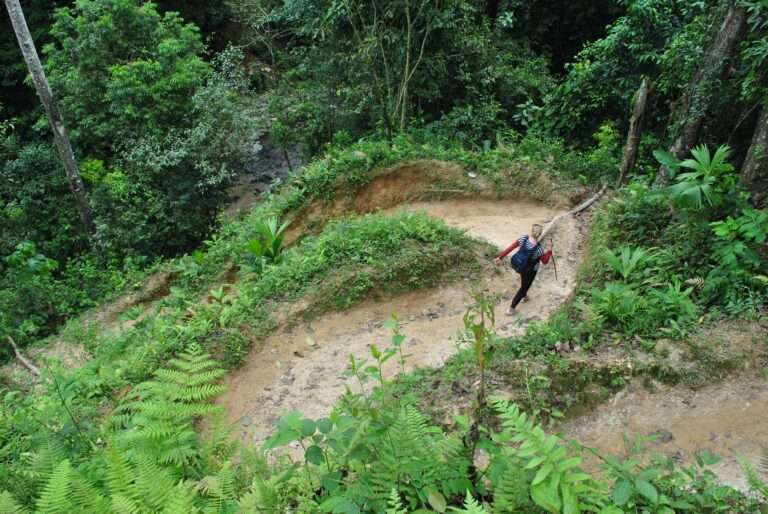 Trek to the Lost City
