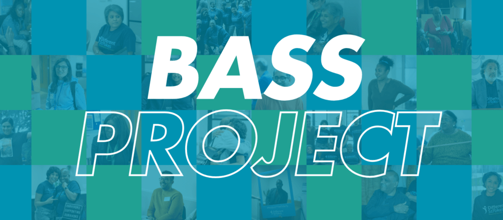 BASS PROJECT ETHNICITY AND STROKE WEBSITE BANNER IMAGE